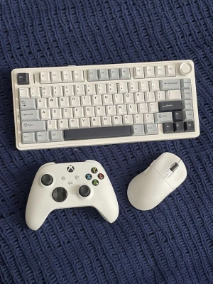 computer mouse and keyboards