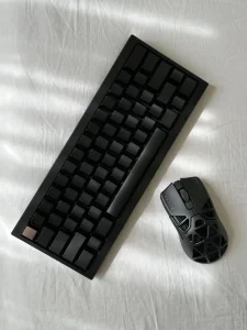 computer mouse and keyboards